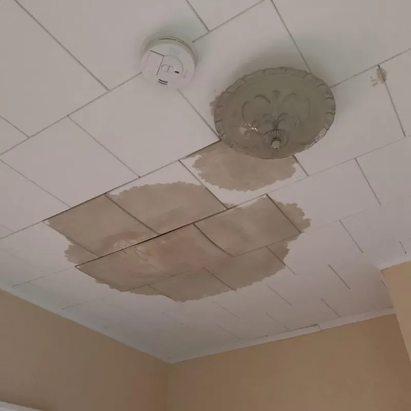 Ceiling Water Damage Repair in Del City, OK