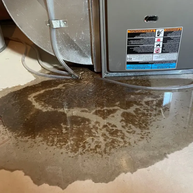 Pipe Burst and Leak Restoration in Del City, OK